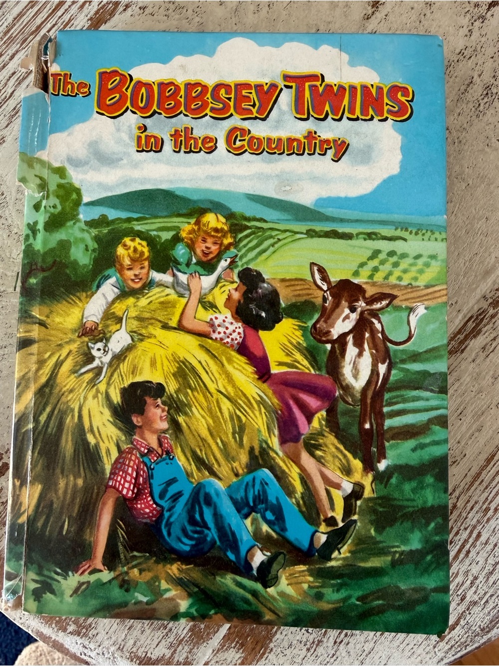 The Bobbsey Twins in the Country book